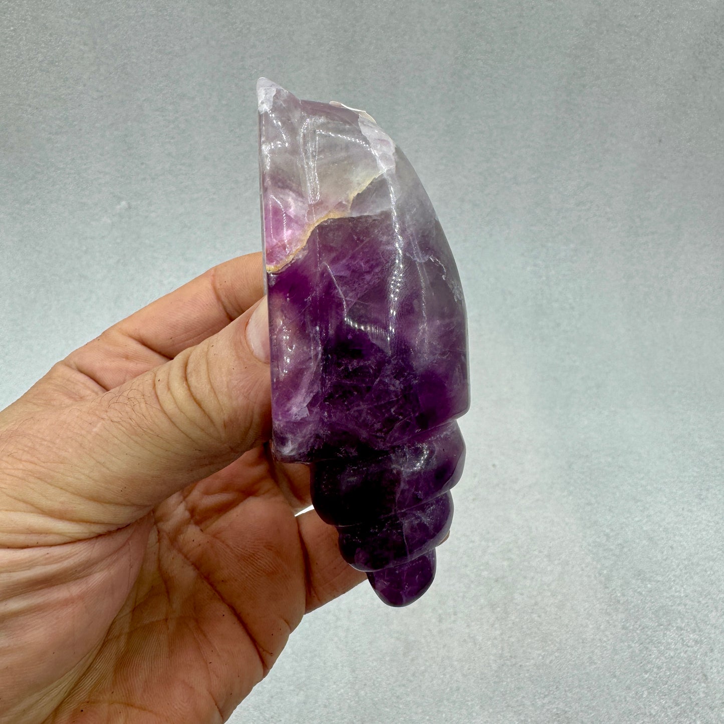 Caracola de fluorita