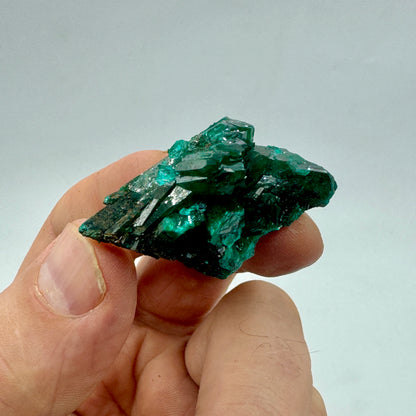 Dioptase Munay Minerals Mallorca
