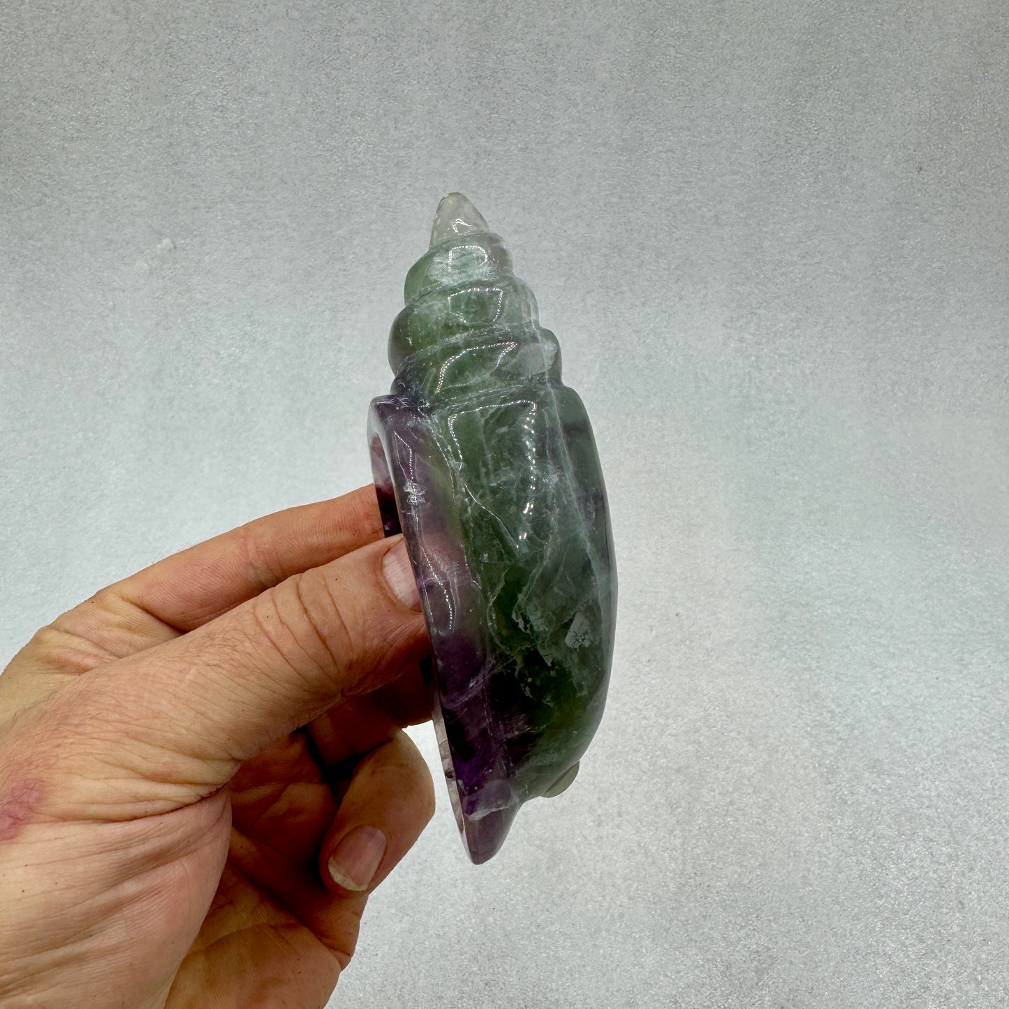 Caracola de fluorita