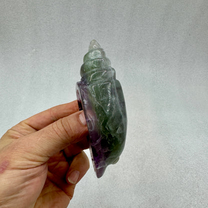 Caracola de fluorita