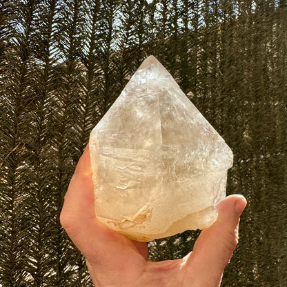 Citrino elestial natural 1,2 kg.