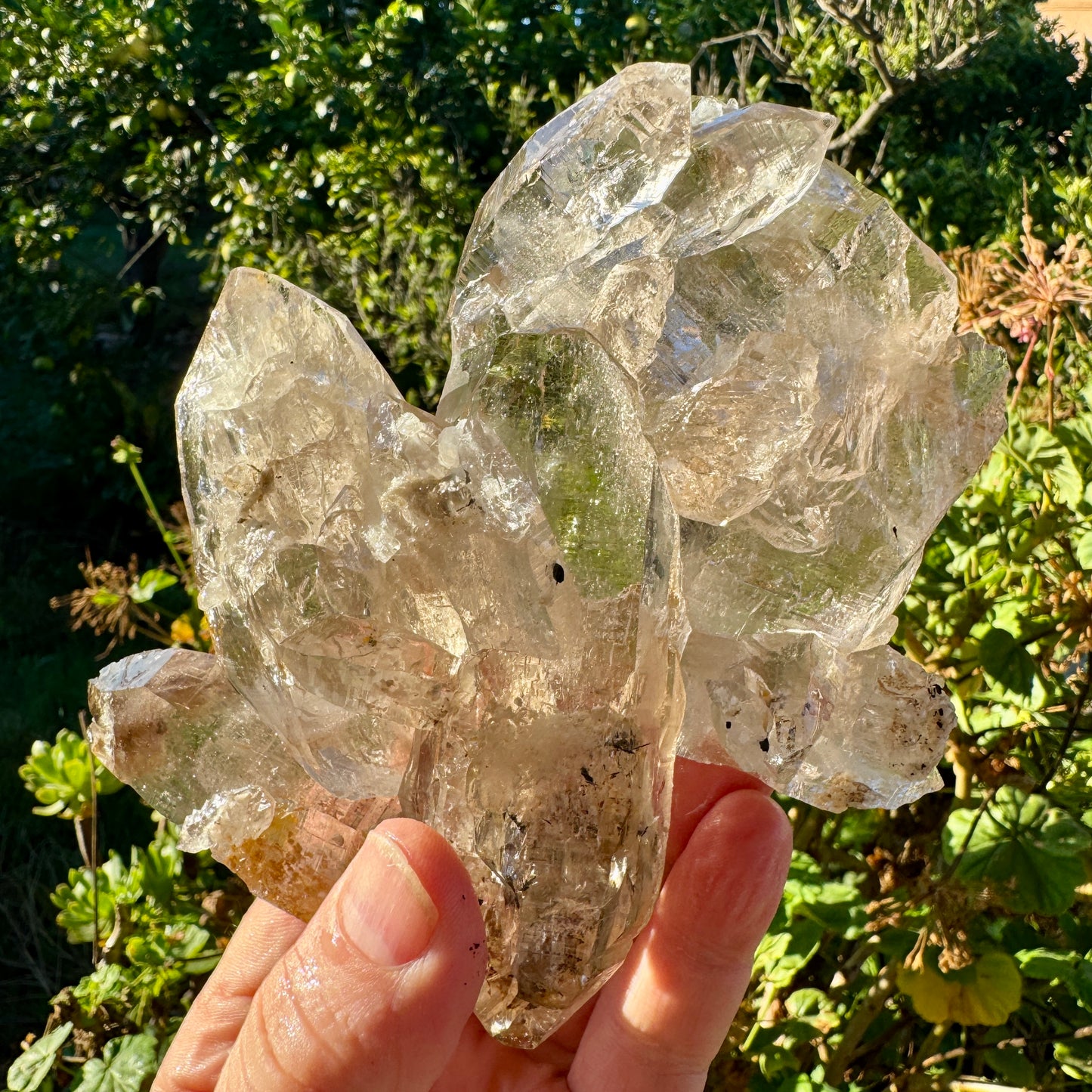 Cuarzo Himalaya Pakistán