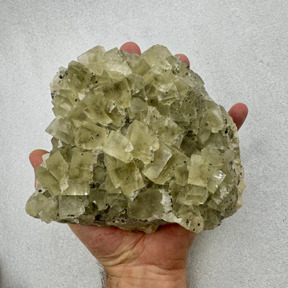 Fluorita cúbica grupo con pirita y galena Munay Minerales Mallorca