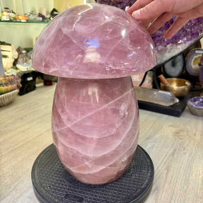 Cuarzo rosa 31,5 kg.  champiñón seta