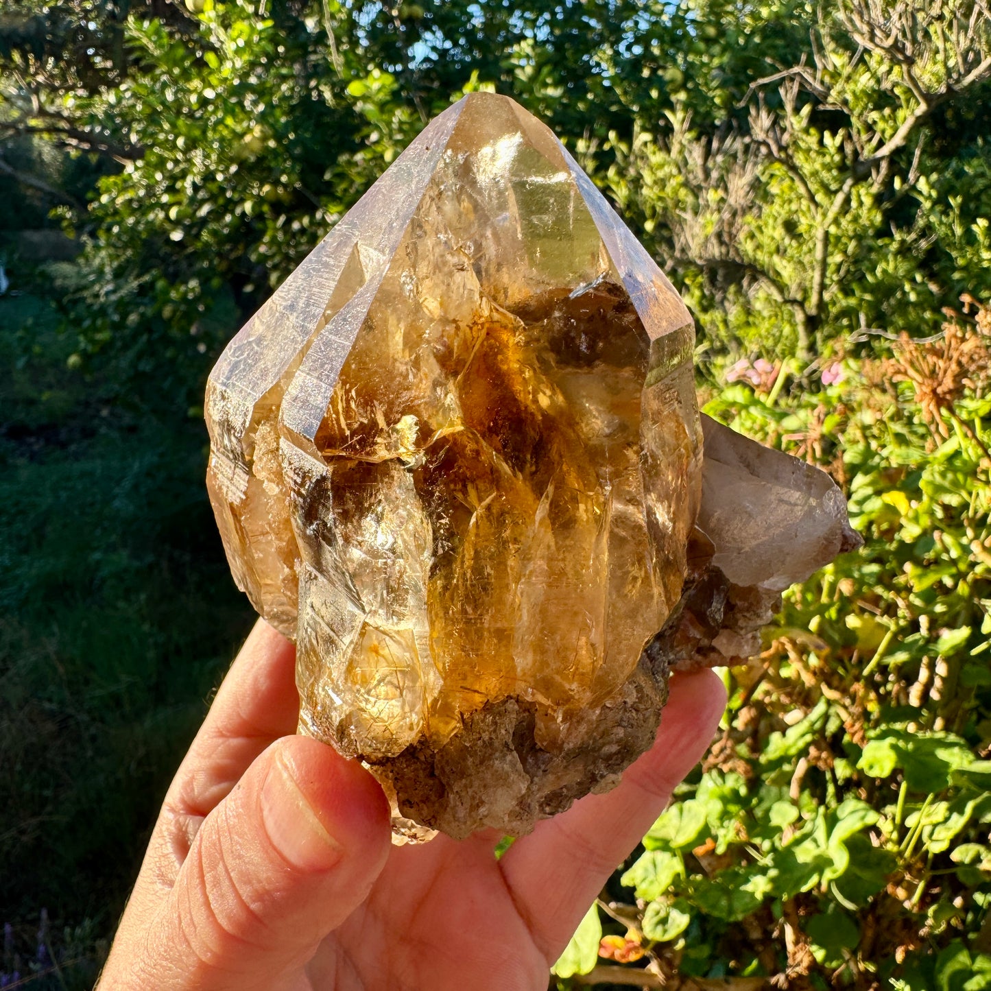 Cuarzo Himalaya con rutilo rojo sagenita Pakistán