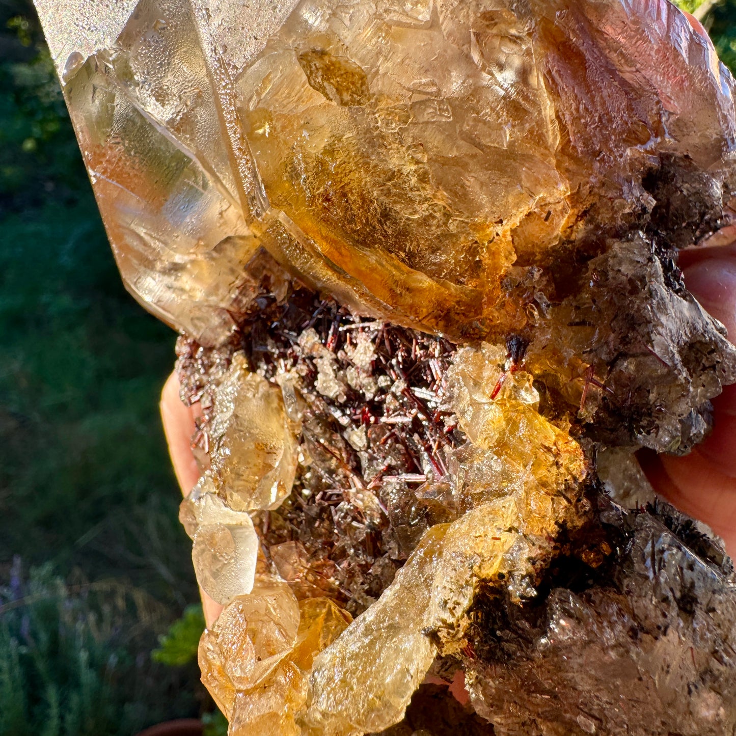 Cuarzo Himalaya con rutilo rojo sagenita Pakistán