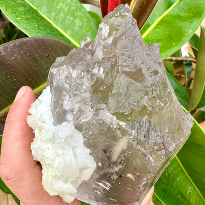 Cuarzo Himalaya con elbaita