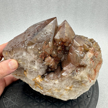 Cuarzo hematoide grupo 5,5 kg.origen España - MUNAY MINERALES MALLORCA