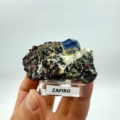 Blue sapphire in a garnet cluster