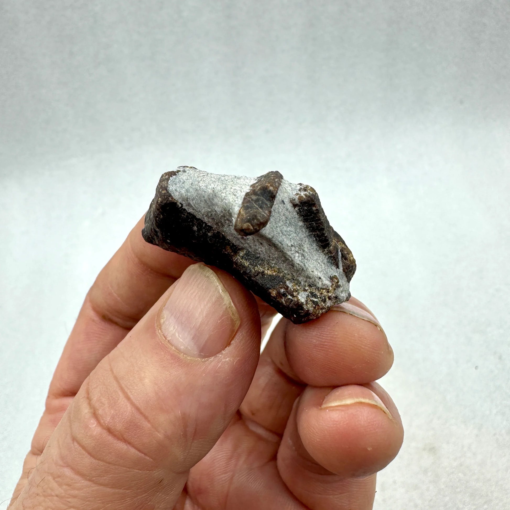 Estaurolita Cruz de Hada - MUNAY MINERALES MALLORCA