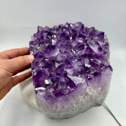 Drusa de amatista 11,3 kg. Munay Minerales Mallorca
