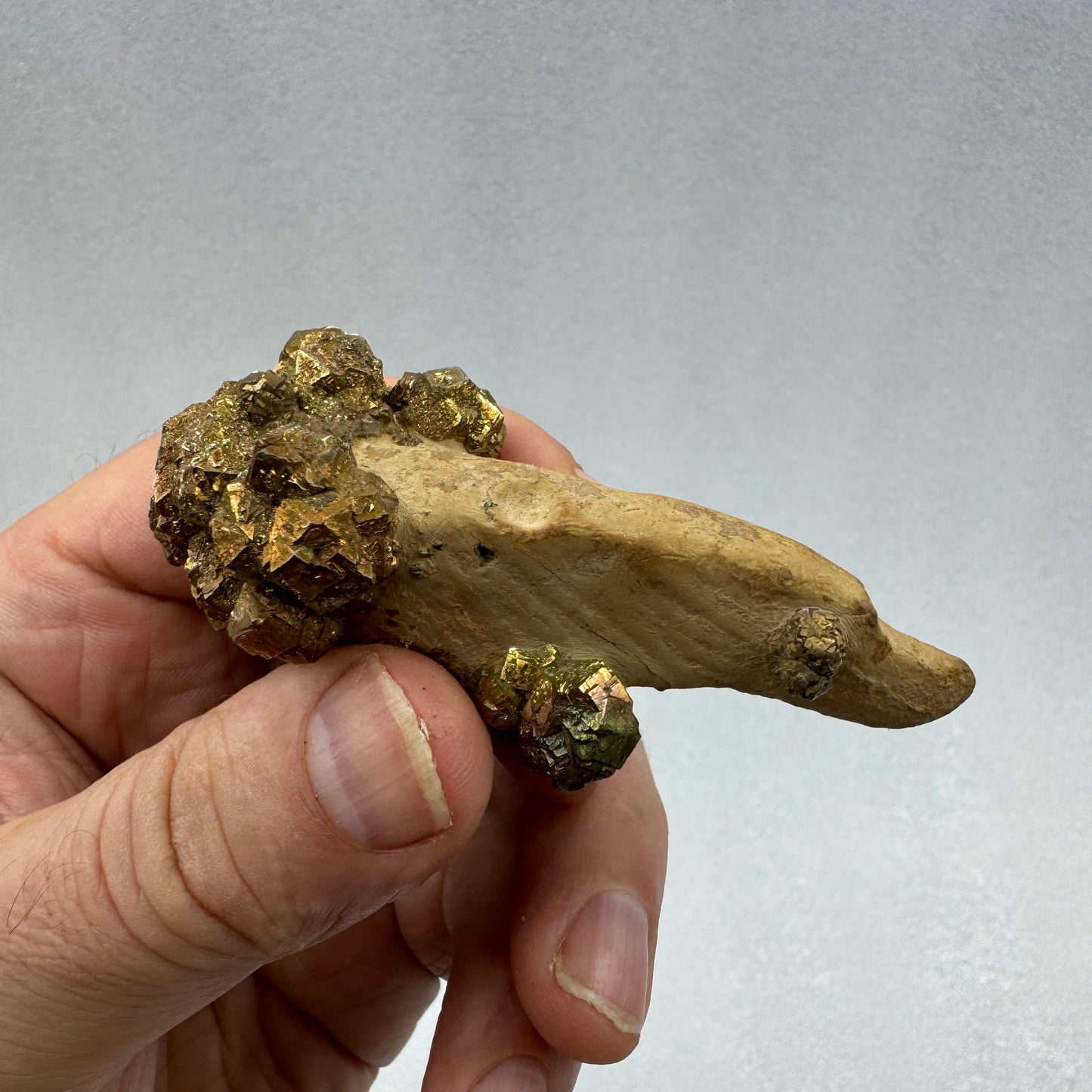 Pirita en grupo matriz Pakistán