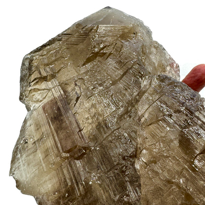 50% OFF Elestial Master Quartz 4.9 kg. Was €500 now €250 Free shipping in Spain