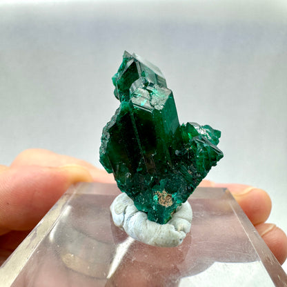 Dioptasa Munay Namibia África