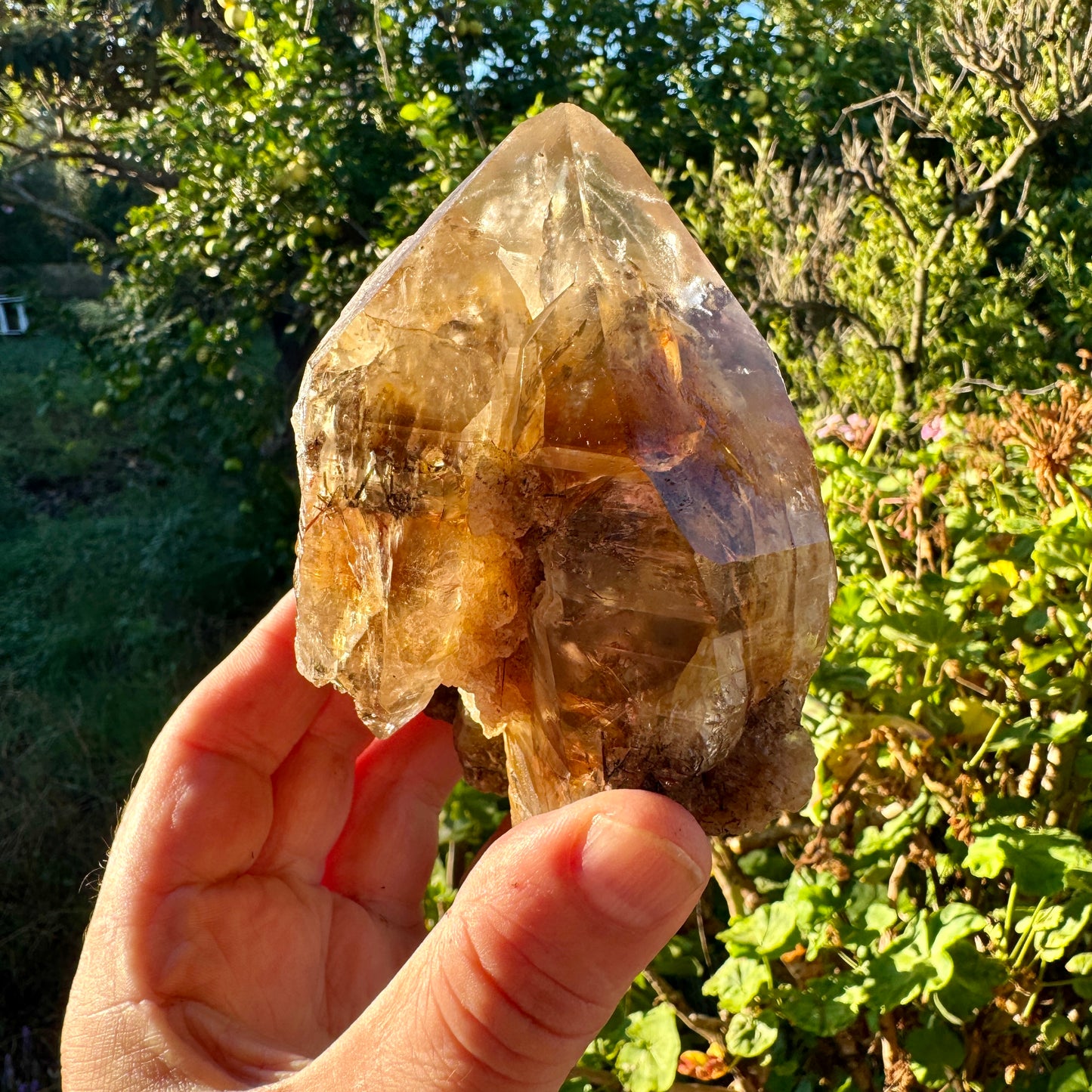 Cuarzo Himalaya con rutilo rojo sagenita Pakistán