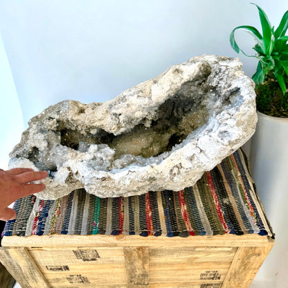 Celestina Celestita geoda gigante 92 kg. la más grande de Europa