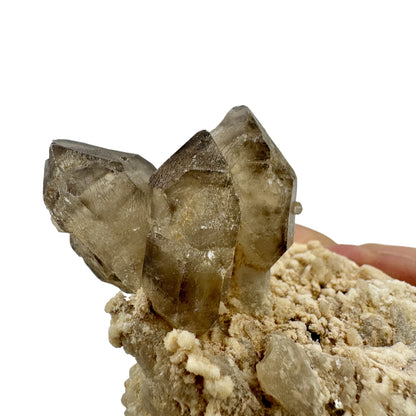 Quartz scepters on matrix