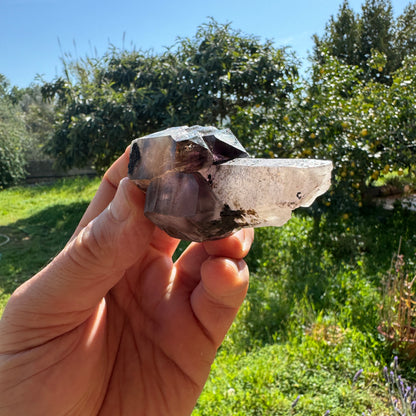 Cetro de amatista con hematita