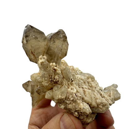 Quartz scepters on matrix