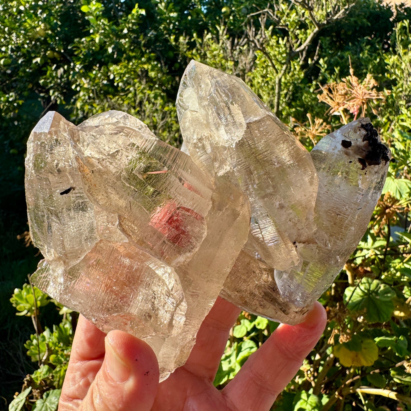 Cuarzo Himalaya Pakistán