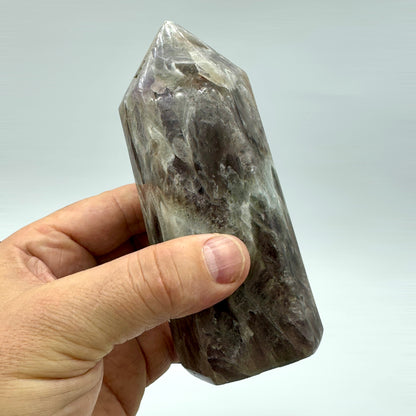 Prasiotrino punta generadora 649 gr.
