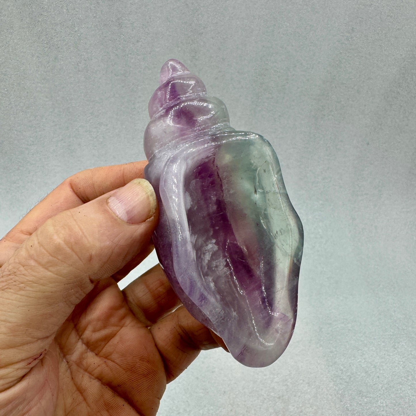 Caracola de fluorita