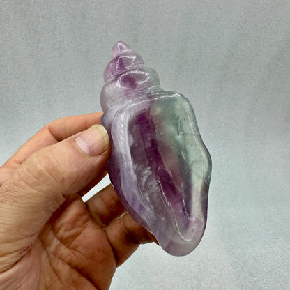 Caracola de fluorita