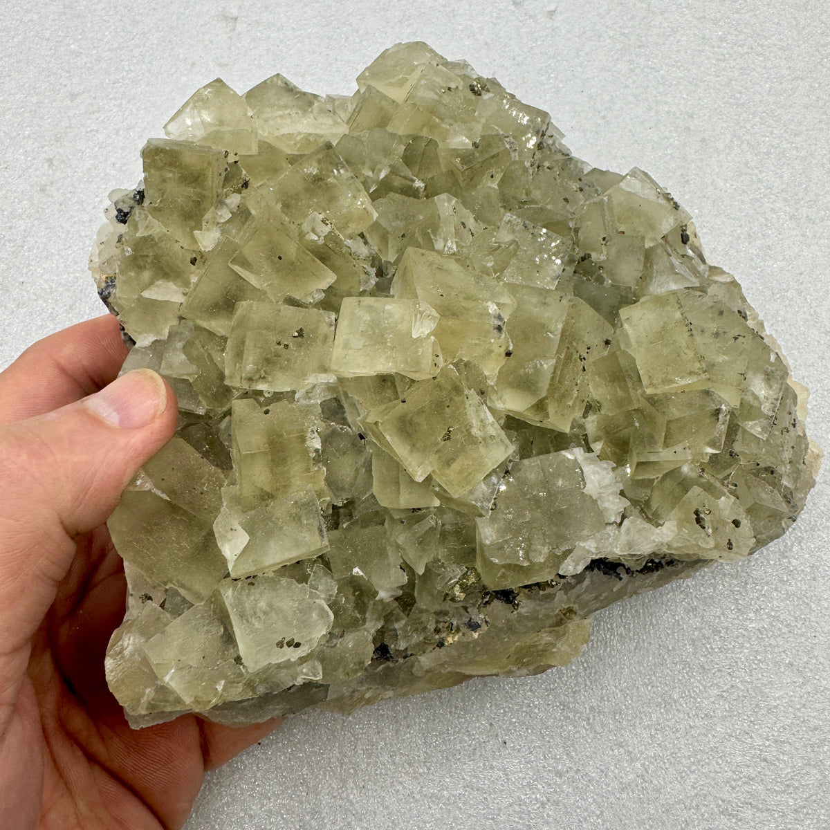 Fluorita cúbica grupo con pirita y galena Munay Minerales Mallorca