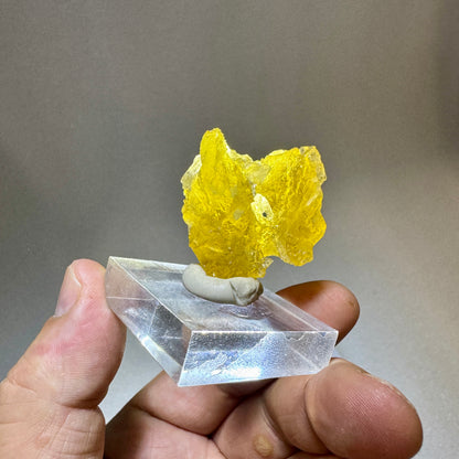Berilo var. Heliodoro amarillo