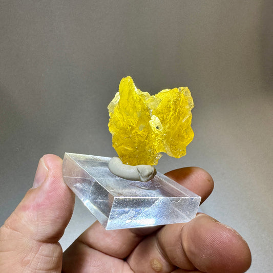 Berilo var. Heliodoro amarillo