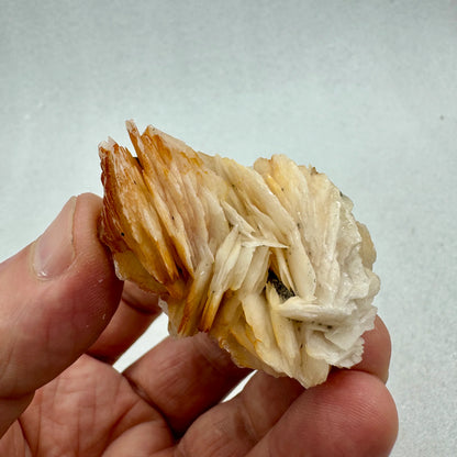 Cerusita y baritina Munay Minerales Mallorca