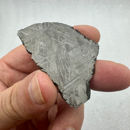 Fragmento de meteorito Muonionalusta pulido con figuras de Widmanstätten