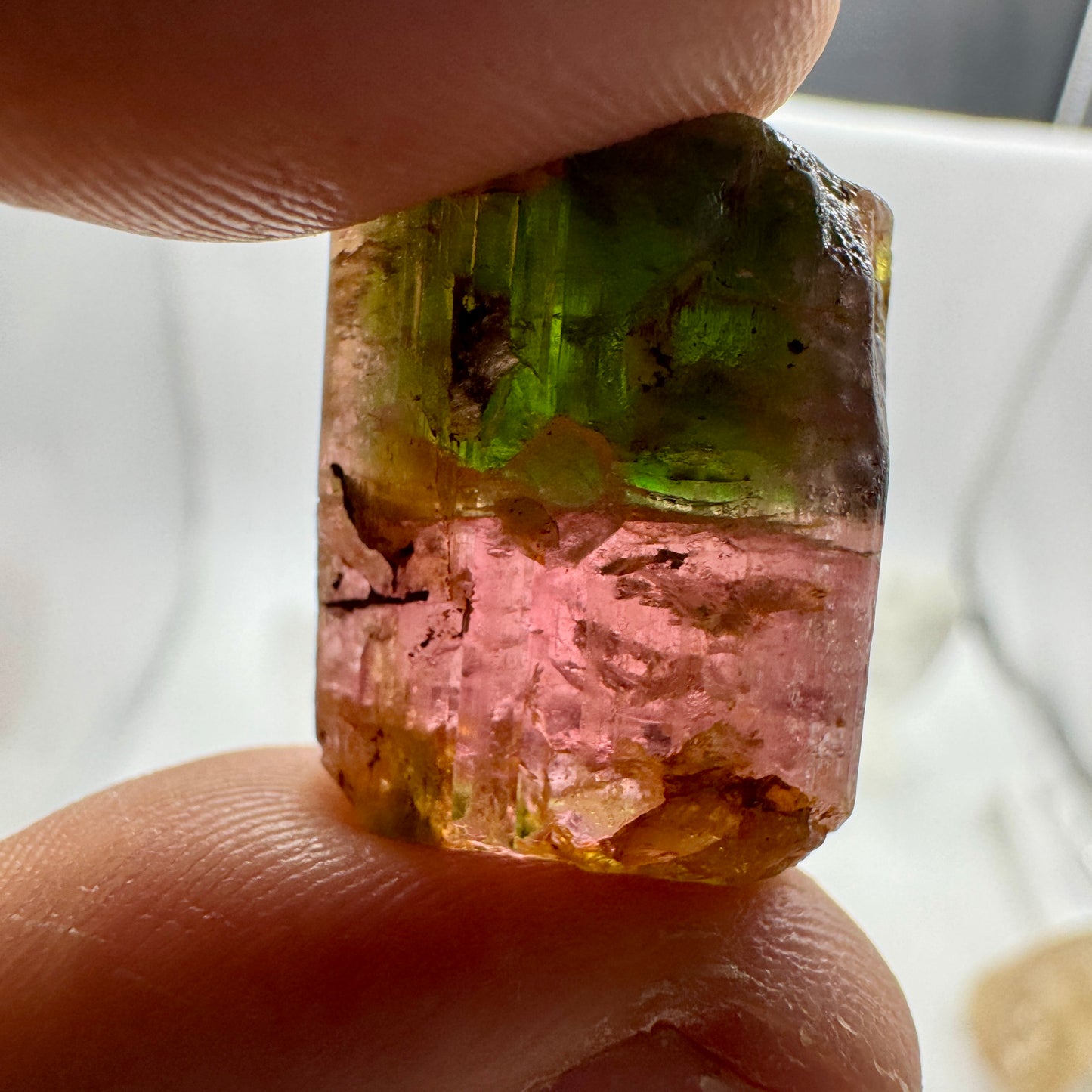 Turmalina bicolor verde y rosa