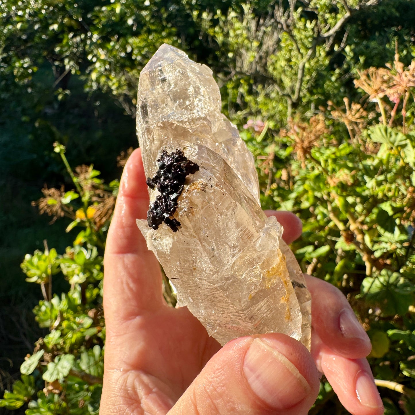 Cuarzo Himalaya Pakistán