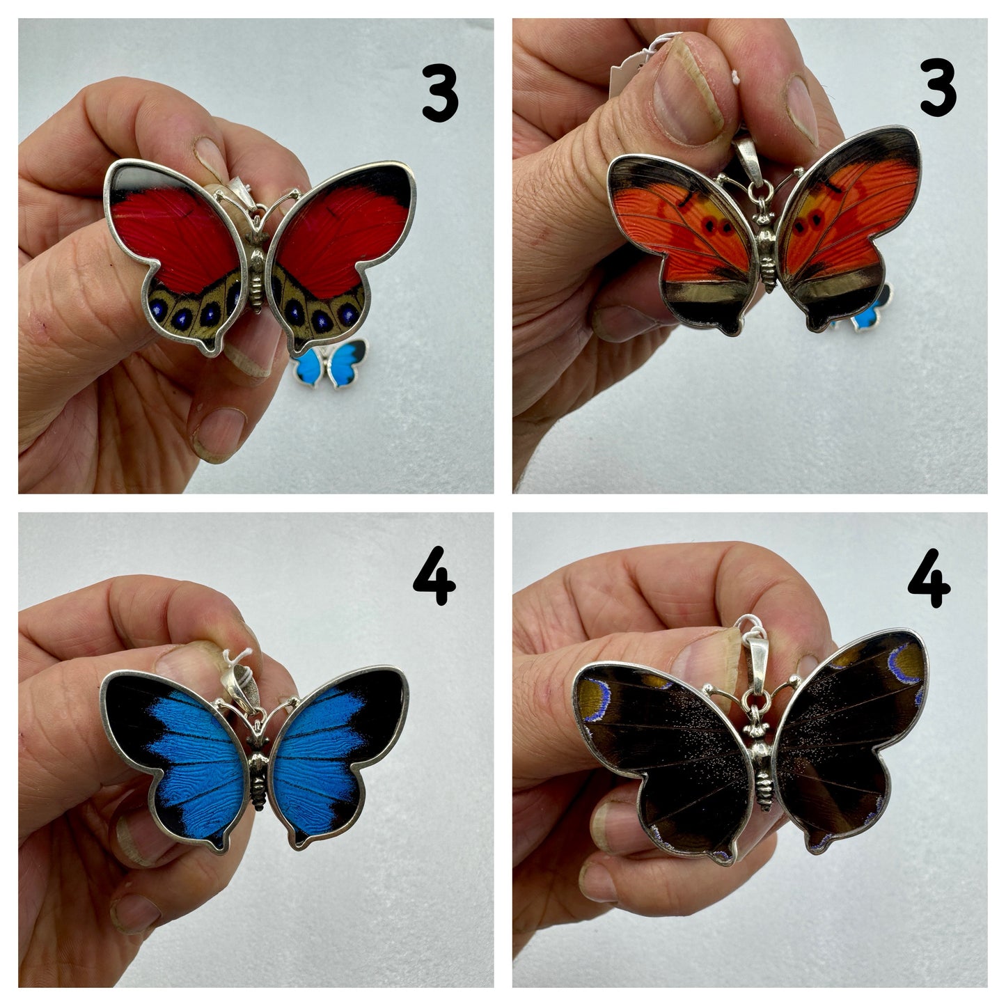 Escamas de mariposa real colgante en plata de ley