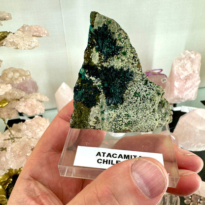 Atacamita de Chile Munay Minerales Mallorca