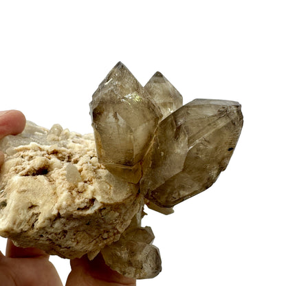 Quartz scepters on matrix