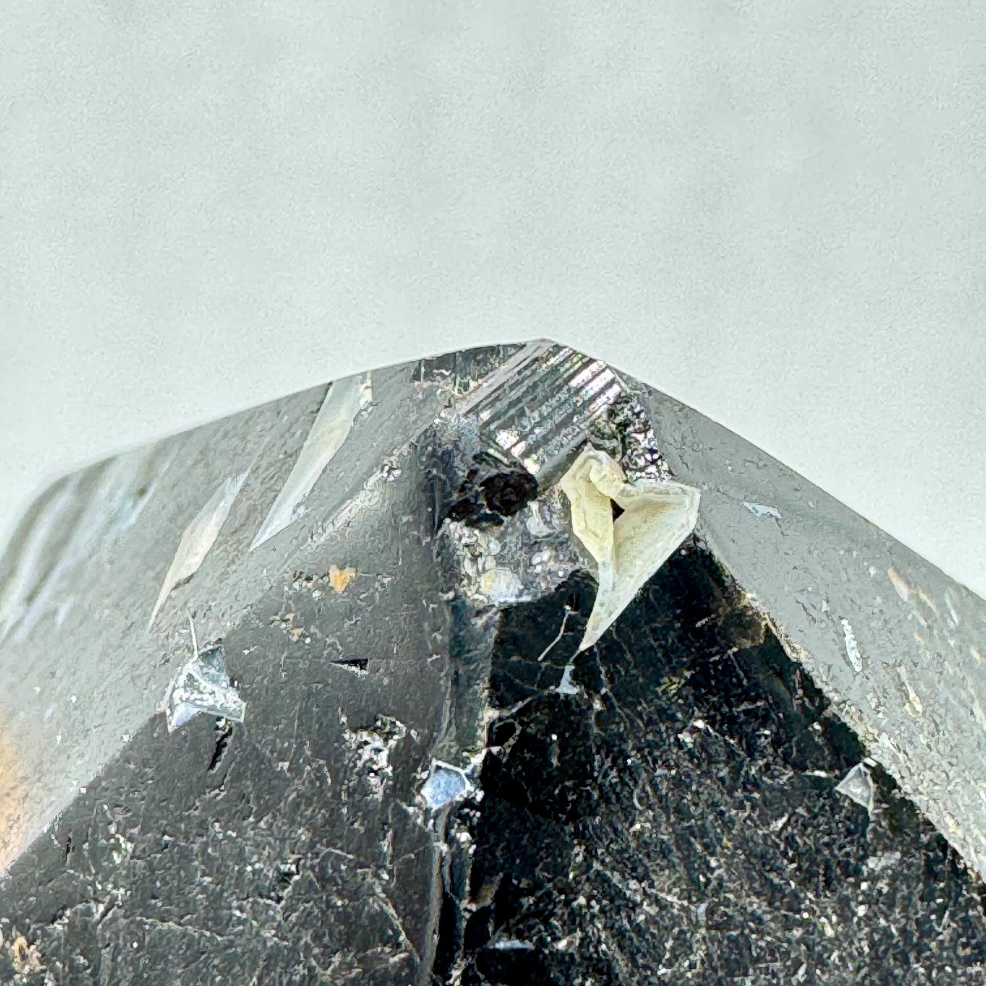 Turmalina negra punta - Munay Minerales Palma de Mallorca Spain 