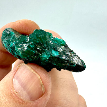 Dioptase Munay Minerals Mallorca