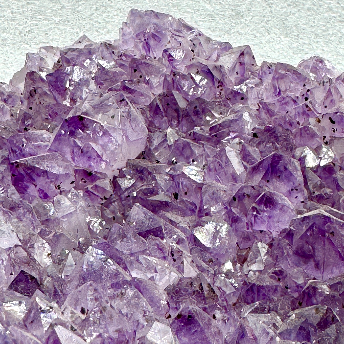 Drusa de amatista Amethyst cluster