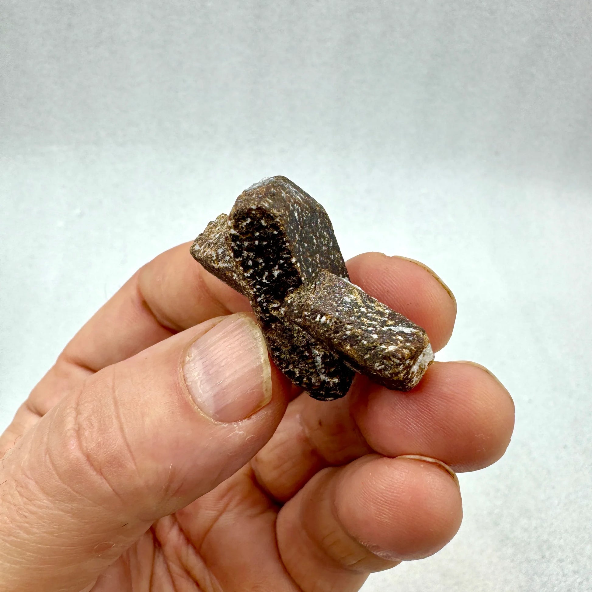 Estaurolita Cruz de Hada - MUNAY MINERALES MALLORCA