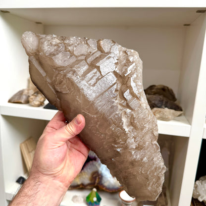Elestial Master Quartz Skeletal Alligator 3.7 kg.