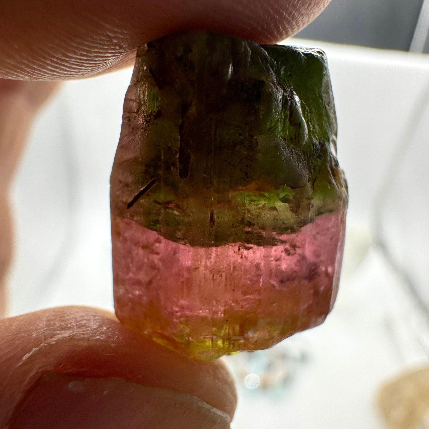 Turmalina bicolor verde y rosa