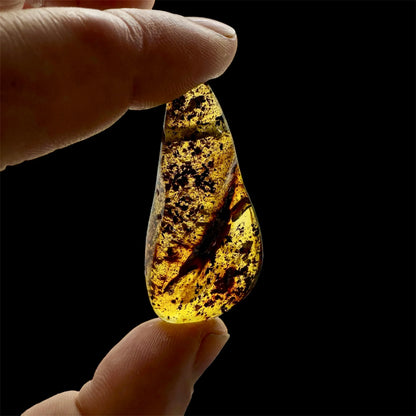 Colgantes de ambar báltico en cordón de piel - MUNAY MINERALES MALLORCA