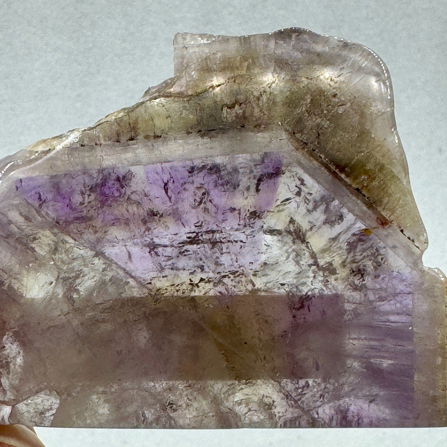 Auralita 23 rodaja pulida