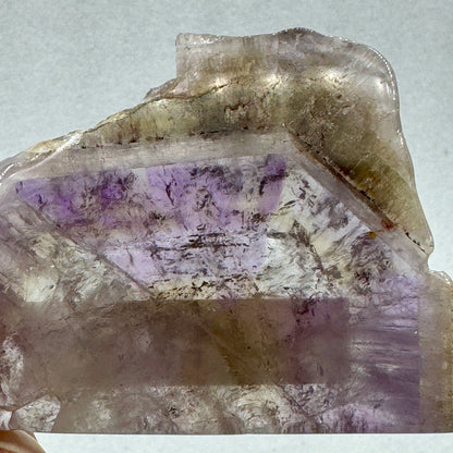 Auralita 23 rodaja pulida