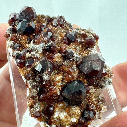 Garnets on matrix Munay Minerals Mallorca