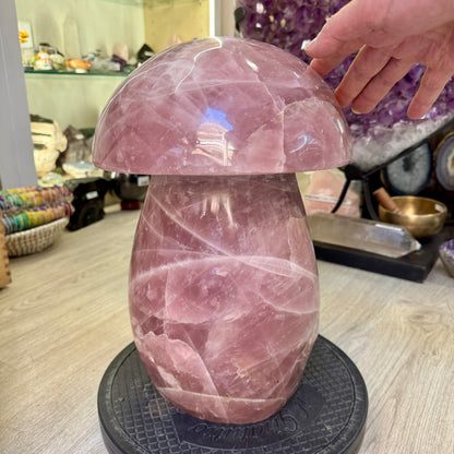 Cuarzo rosa 31,5 kg.  champiñón seta