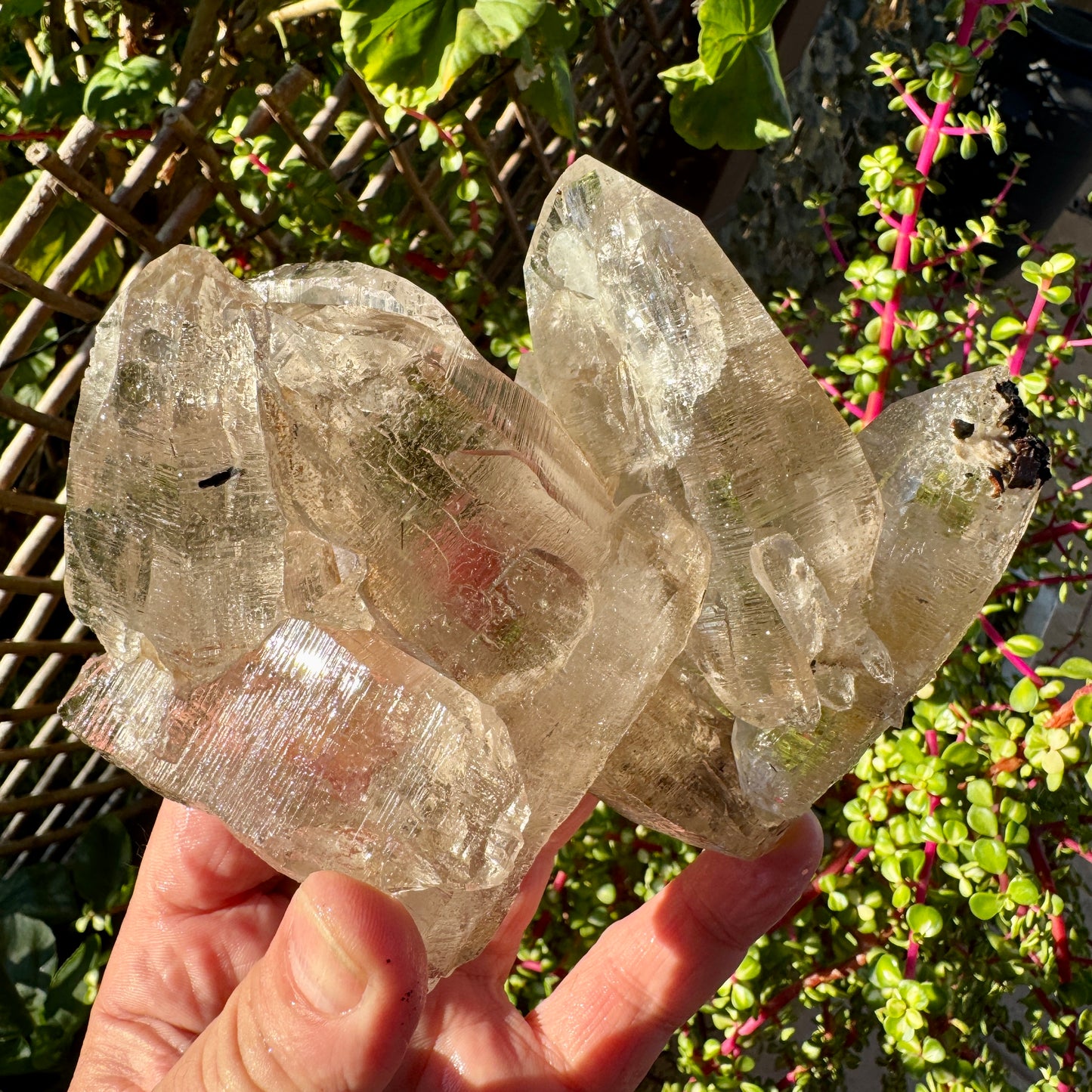 Cuarzo Himalaya Pakistán