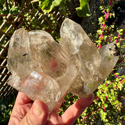 Cuarzo Himalaya Pakistán